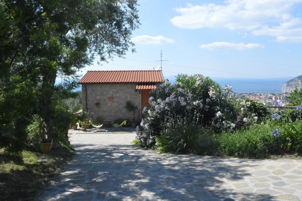 Agriturismo L'Olivara Villa Piano di Sorrento Exterior photo