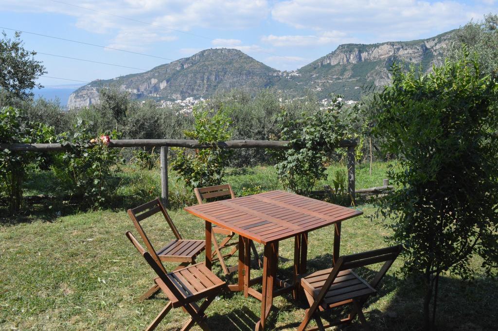 Agriturismo L'Olivara Villa Piano di Sorrento Exterior photo